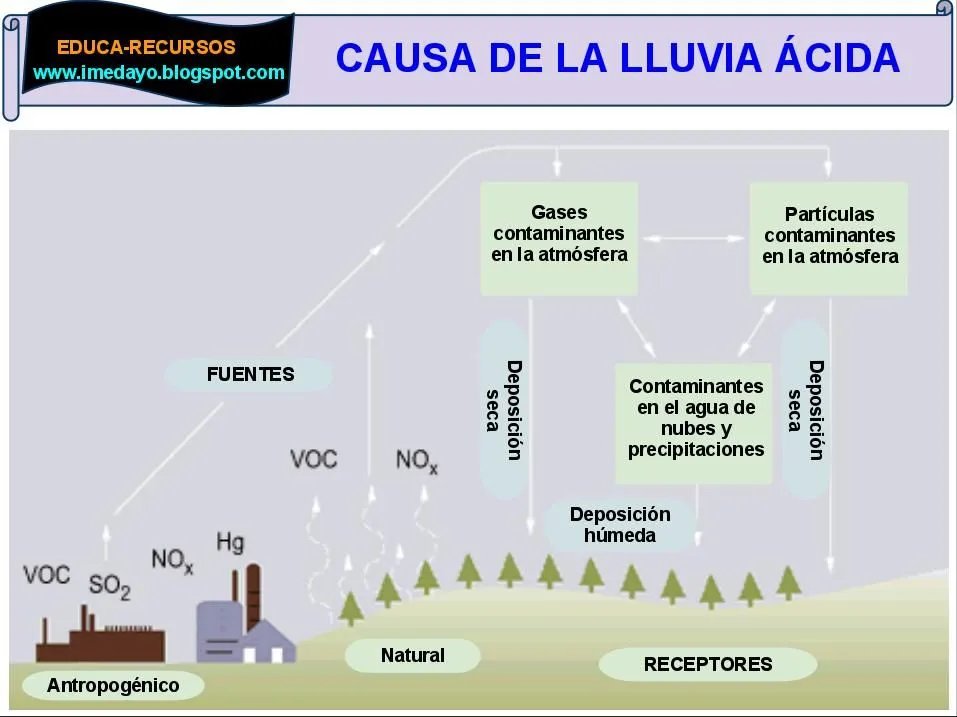 Dibujos para colorear de lluvia acida - Imagui