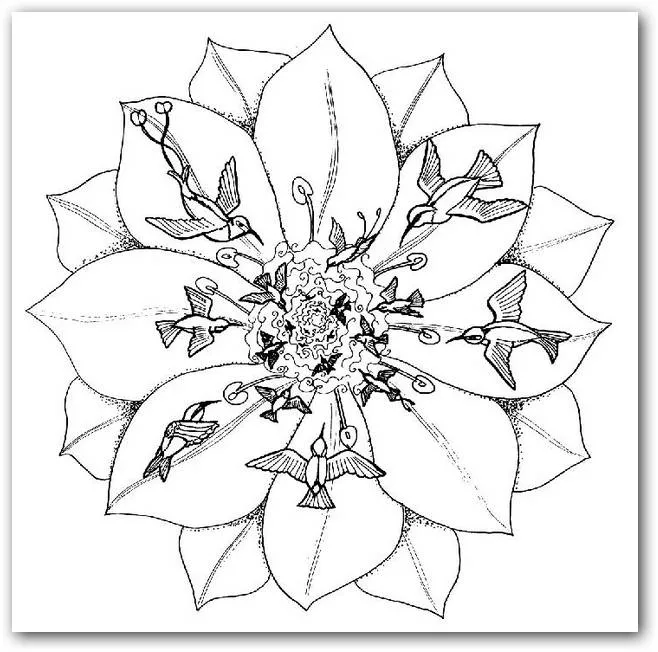 Dibujos para colorear mandalas con animales | Dibujos para Colorear