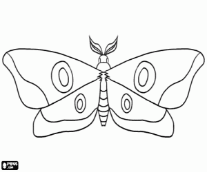 Dibujos para colorear de Mariposas , dibujos de Mariposas para ...