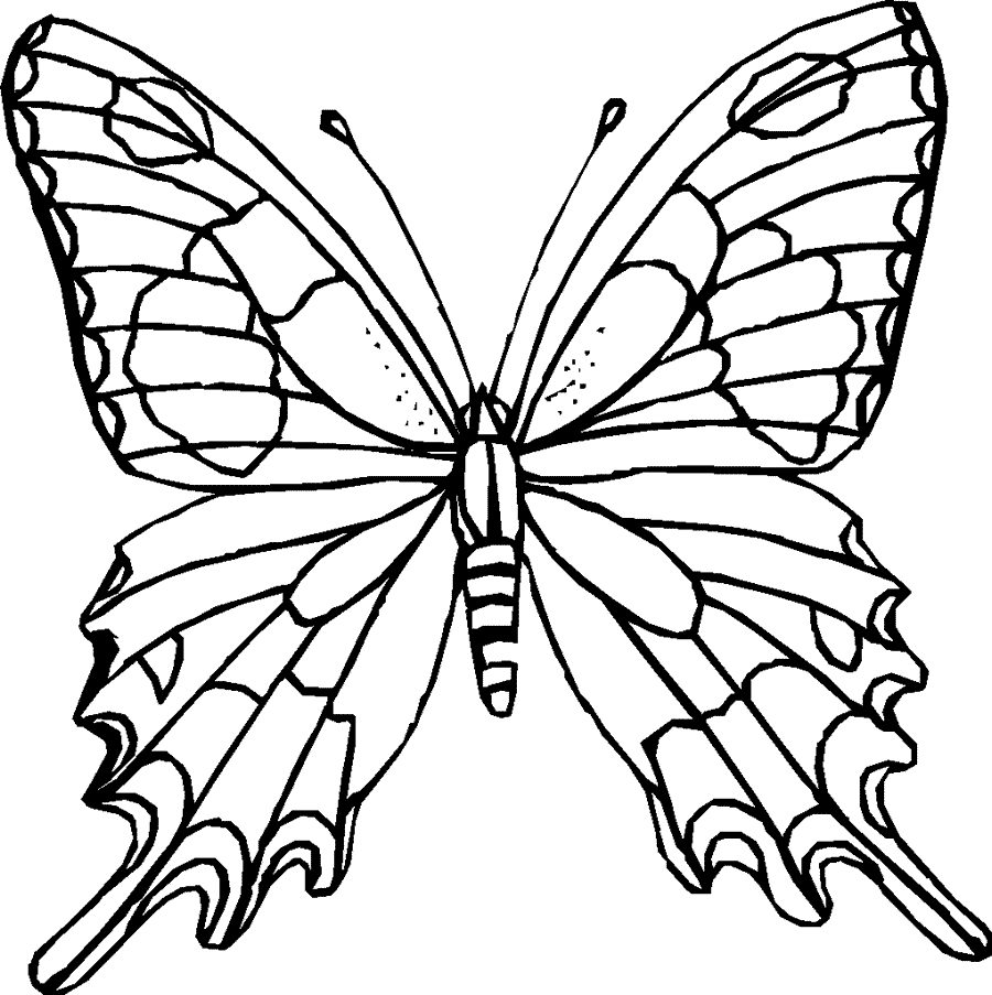 Dibujos para colorear de Mariposas, Lepidópteros, Plantillas para ...