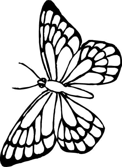 Dibujos para colorear de Mariposas, Lepidópteros, Plantillas para ...