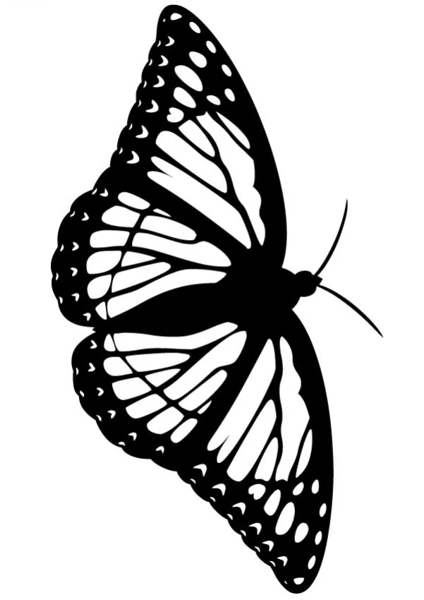 Dibujos para colorear MARIPOSAS, mariposa morada para imprimir