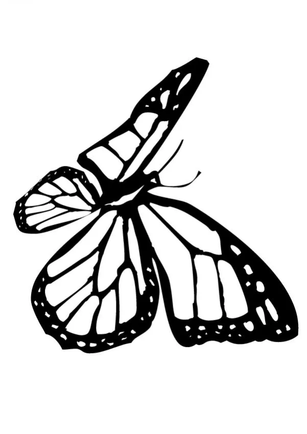 Dibujos para colorear MARIPOSAS, una mariposa monarca para imprimir