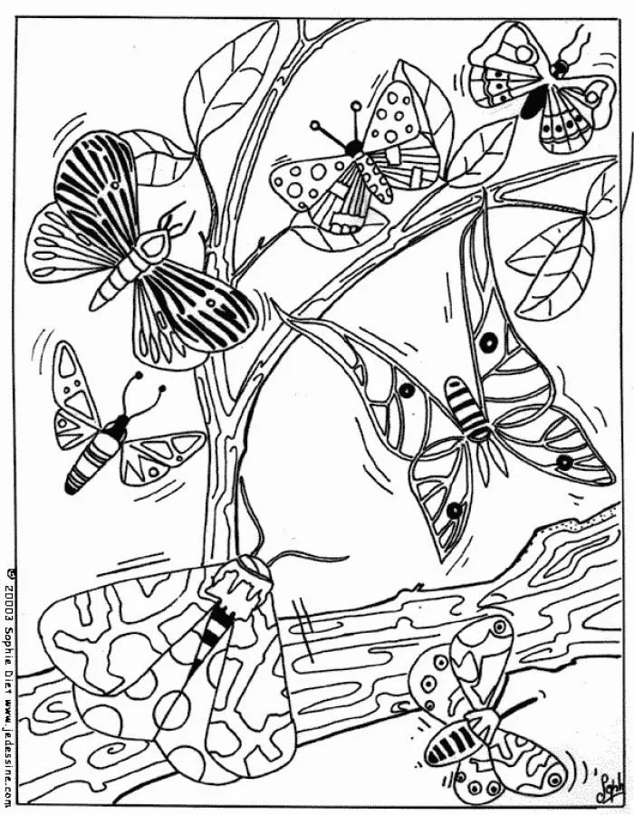 Dibujos Para Colorear De Mariposas Monarcas « Ideas & Consejos ...