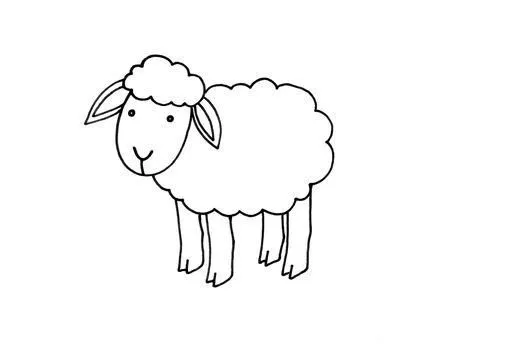 DIBUJOS PARA COLOREAR OVEJAS | Dibujos para colorear