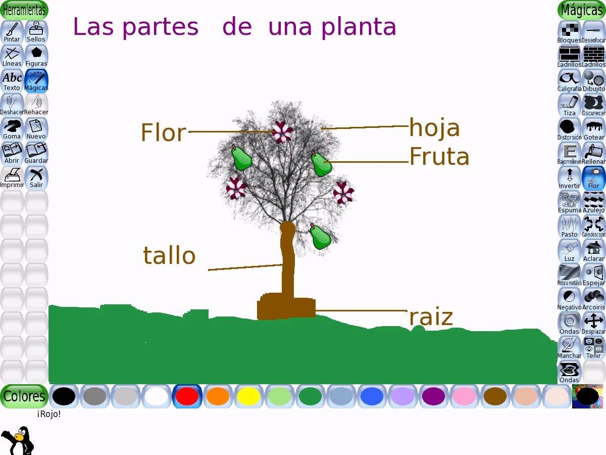 Dibujar una flor con sus partes - Imagui