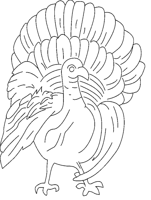 Dibujos para colorear de Pavos, Plantillas para colorear de Pavos