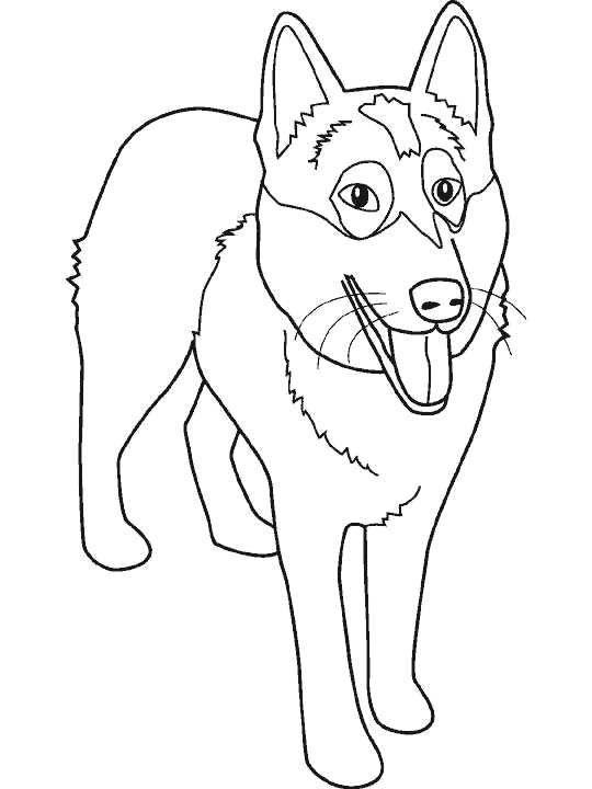 Dibujos para colorear de Perros, can, canino, Canis lupus ...