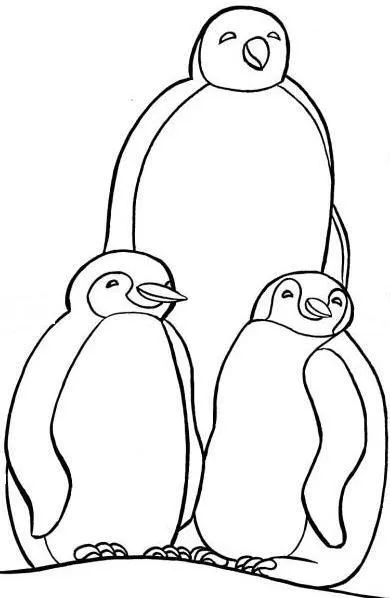  ... PARA COLOREAR PINTAR: DIBUJOS DE PINGUINOS PARA COLOREAR PINTAR