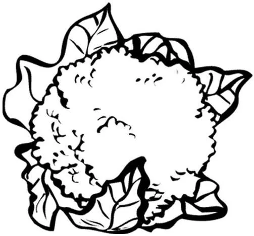 DIBUJOS PARA COLOREAR PINTAR IMAGENES: DIBUJOS DE LA COLIFLOR PARA ...