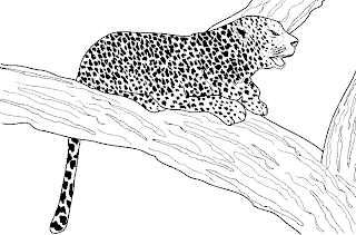 DIBUJOS PARA COLOREAR PINTAR IMAGENES: DIBUJOS DEL LEOPARDO PARA ...