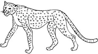 DIBUJOS PARA COLOREAR PINTAR IMAGENES: DIBUJOS DEL LEOPARDO PARA ...