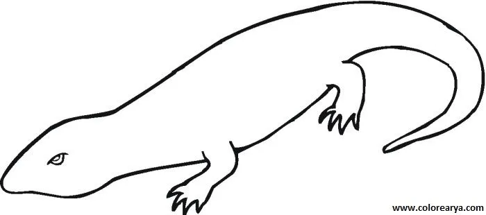 Dibujos para colorear y pintar para los niños