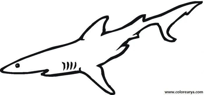 Dibujos para colorear y pintar para los niños