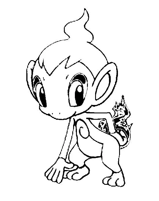 Dibujos para colorear Pokemon - Chimchar - Dibujos Pokemon