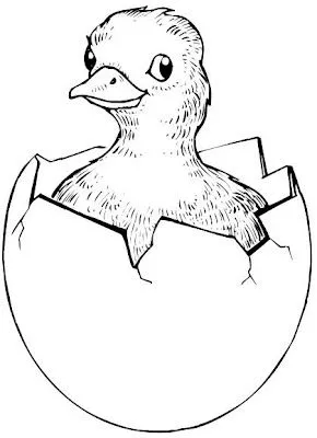 Dibujos para colorear de pollitos saliendo del cascaron - Imagui