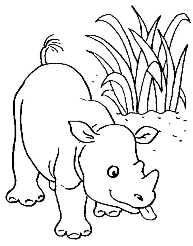 Dibujos para colorear de Rinocerontes, Rhinocerotidae, Plantillas ...