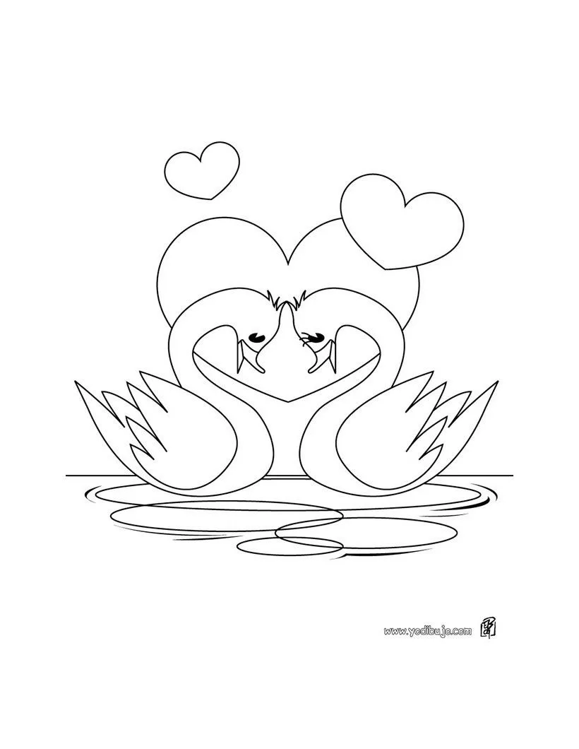 Dibujos para colorear SAN VALENTIN - Cisnes Amor puro