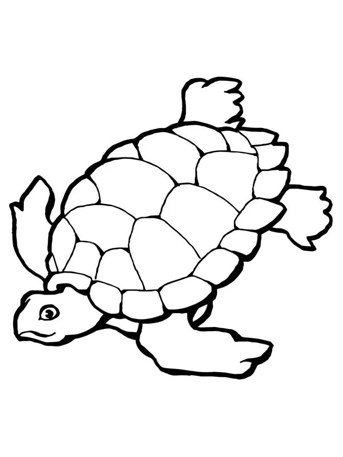 Dibujos para colorear: Tortugas imprimible, gratis, para los niños y los  adultos