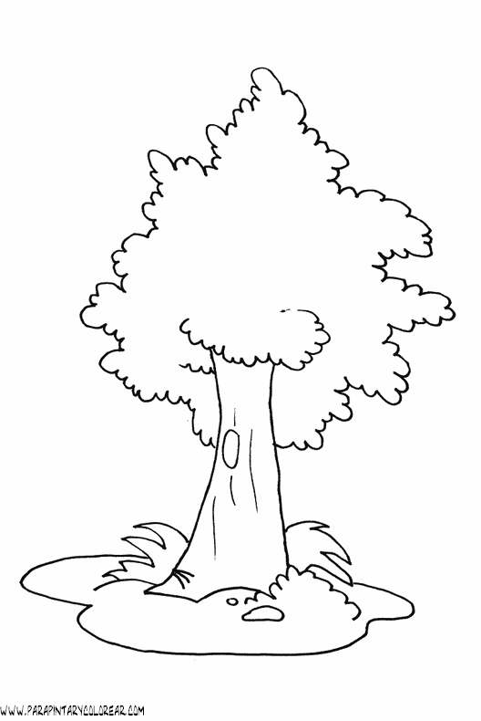 dibujos-de-arboles-para-colorear-008