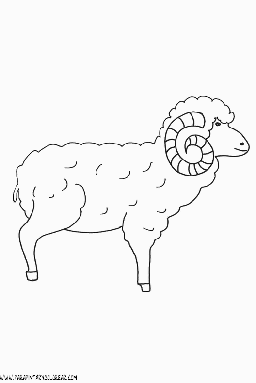 dibujos-de-cabras-016