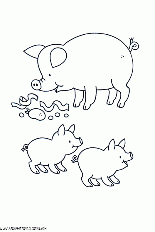 dibujos-de-cerdos-009