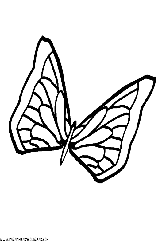 dibujos-de-mariposas-03