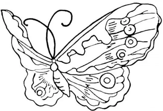 Dibujos-de-mariposas-para- ...
