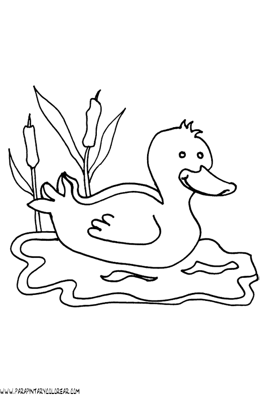 dibujos-de-patos-17