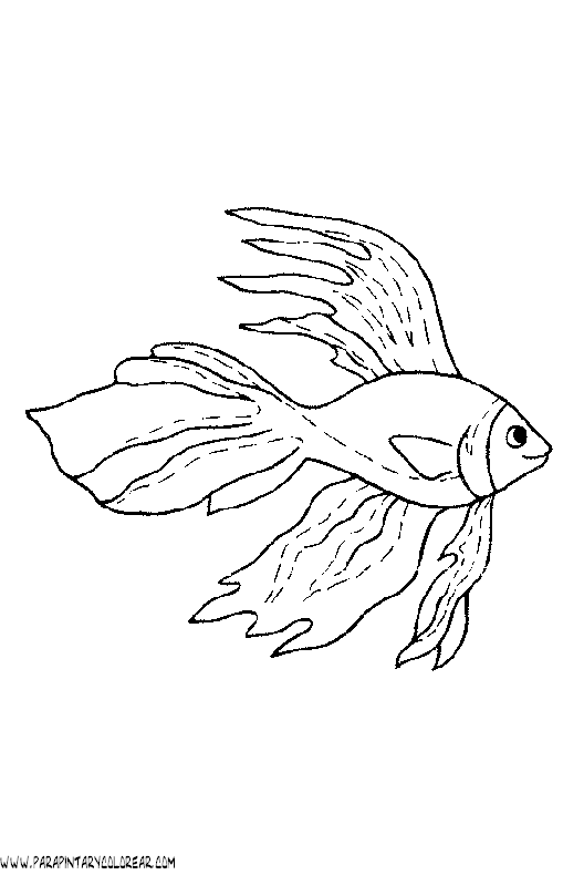 dibujos-de-peces-021.gif