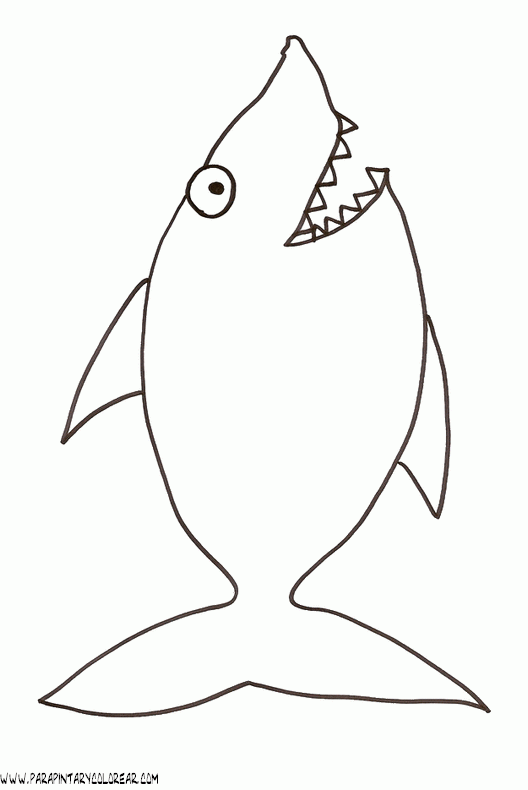 dibujos-de-tiburones-002