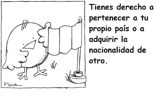 Dibujos sobre los derechos humanos - Imagui