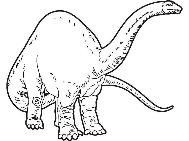 Dibujos de dinosaurios para colorear e imprimir - Imagui