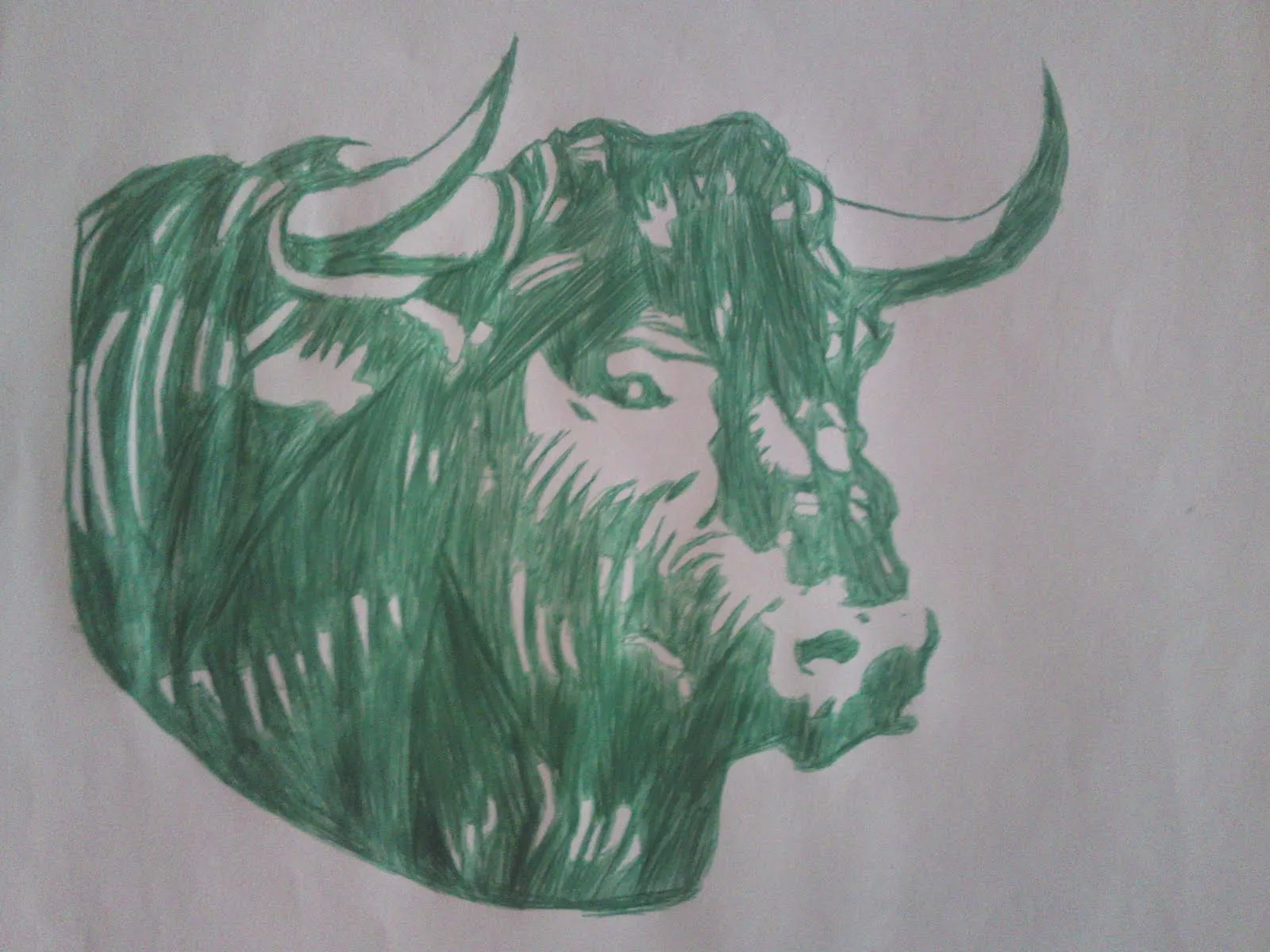 DIBUJOS EDU: CARAS DE TOROS