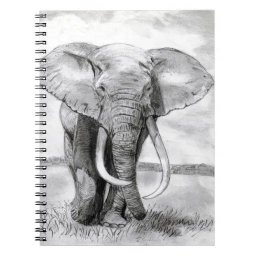 dibujo del elefante africano en diseño del lápiz cuaderno | Zazzle