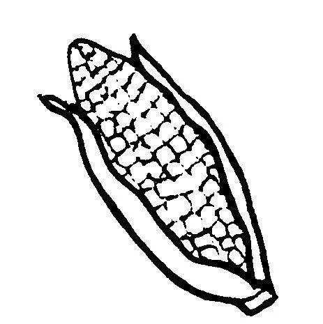 Dibujos de elotes para colorear - Imagui