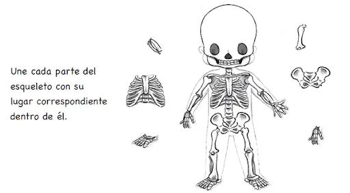 Esqueleto de niño para colorear - Imagui