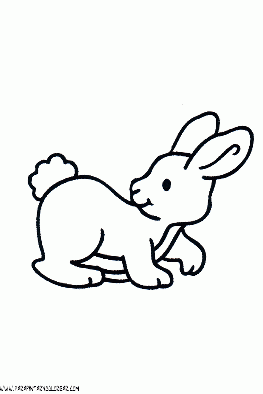 Dibujo De Conejo En Un Cascar Icon - Free Icons