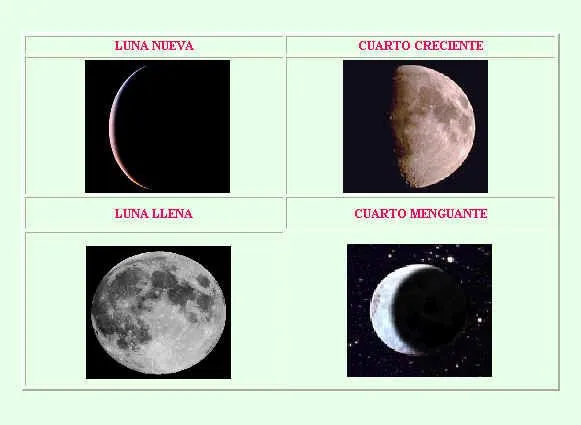 Dibujos de las cuatro fases de la luna - Imagui