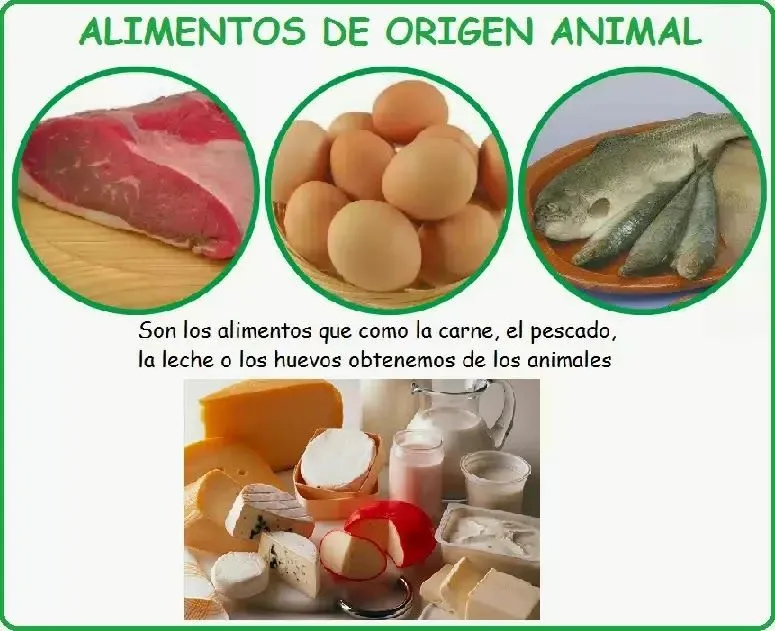 Dibujos y Figuras de Alimentos de Origen Animal | Para niños