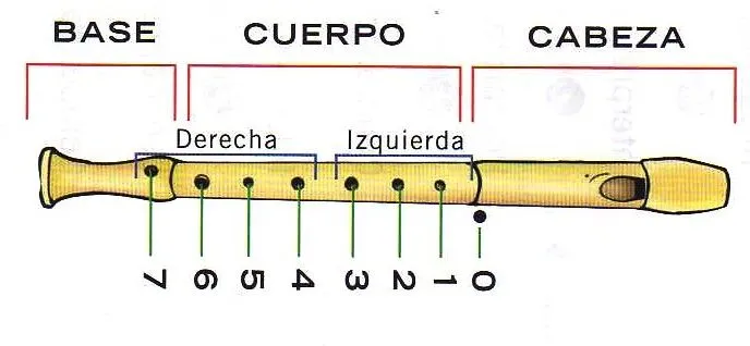 Dibujos de flauta dulce con sus partes - Imagui