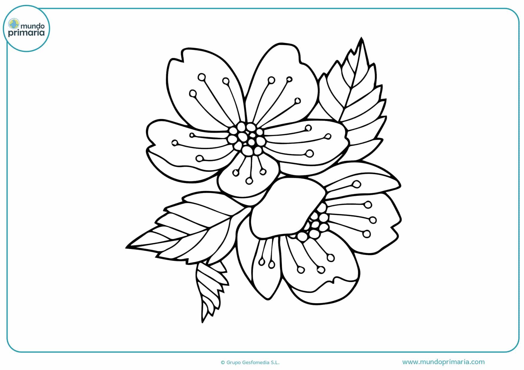 Dibujos de Flores para Colorear 【Bonitas y Fáciles de Pintar】