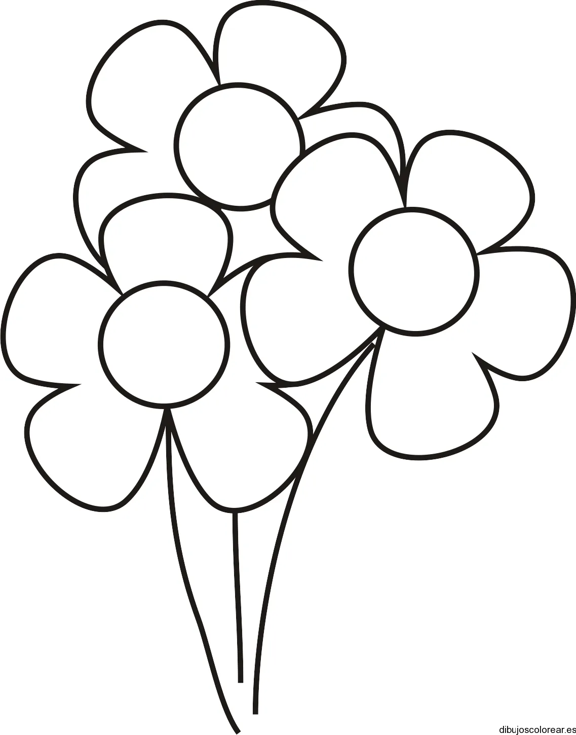 Dibujo de tres pequeñas flores | Dibujos para Colorear