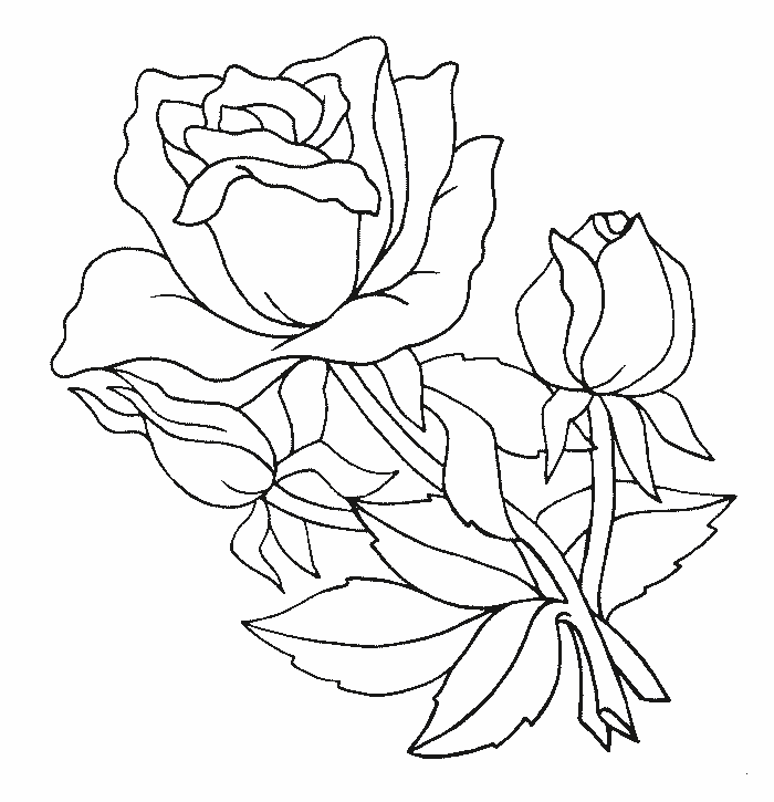 dibujos de flores exoticas para pintar e imprimir | Dibujo o no ...