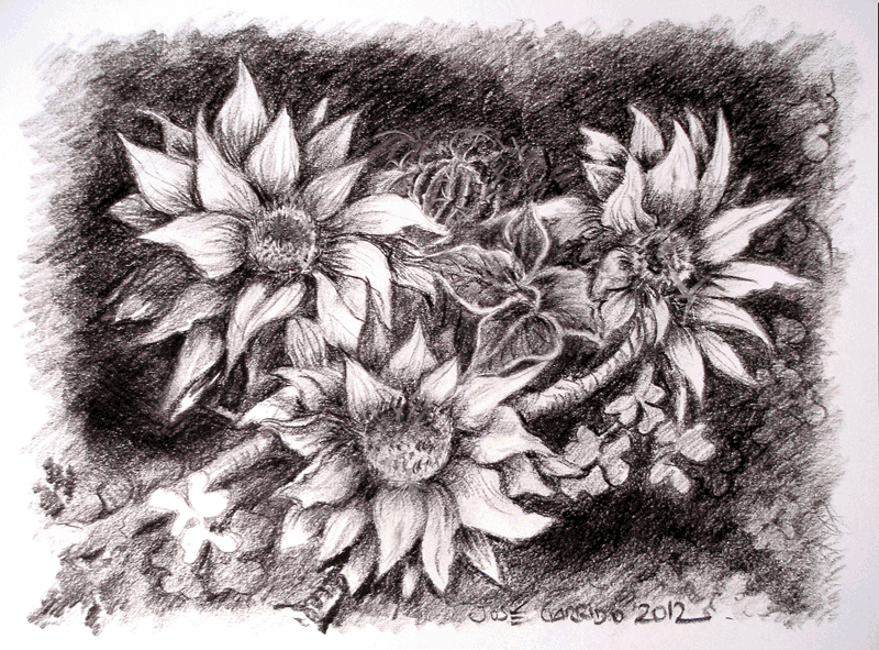 Dibujos de flores hechas a lápiz - Imagui