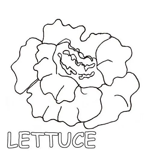 Dibujos con frutas en inglés para colorear - Imagui