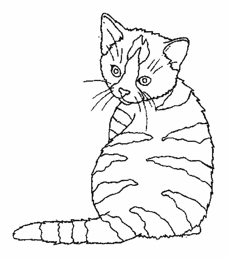 Dibujos de Gatitos para Colorear | Dibujos para Niños