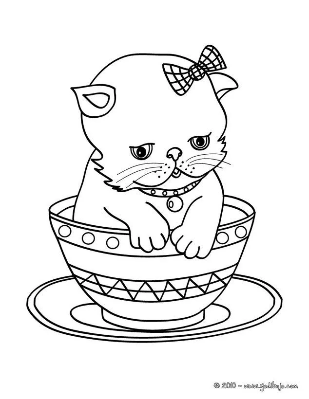 Dibujos GATOS para colorear, GATO PERSA en una tasa para imprimir