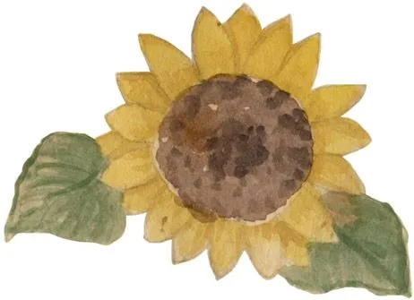 Dibujos girasoles para imprimir - Imagenes y dibujos para ...