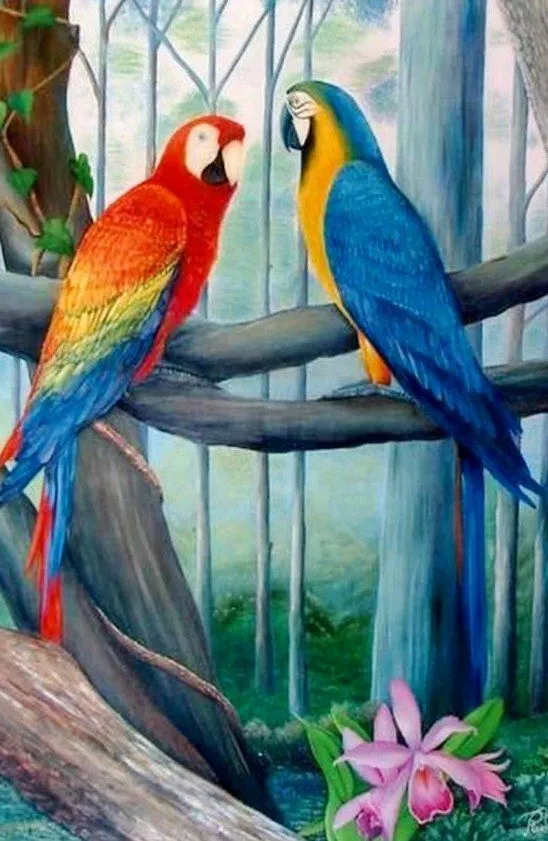 Dibujos de guacamayas para pintar en óleo - Imagui